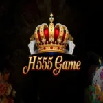 H555 Game